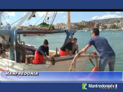 Video Ripresa Pesca