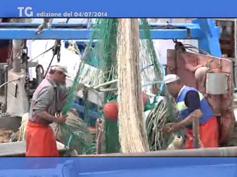 TG del 04 07 2014