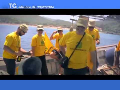 TG del 29 07 14 TG del 29 07 14