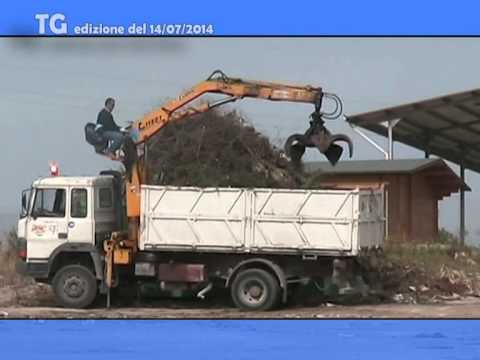 TG del 14 07 2014