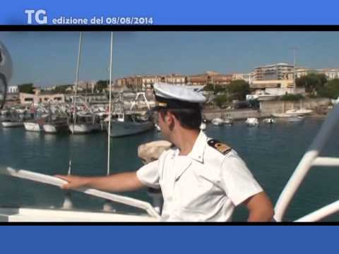TG del 08 08 14 TG del 08 08 14