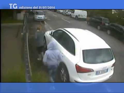 TG del 31 07 14 TG del 31 07 14