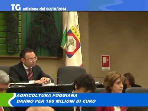 TG del 02 10 14