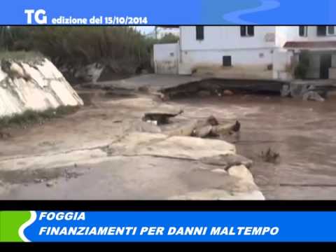 TG  del 15/10/2014