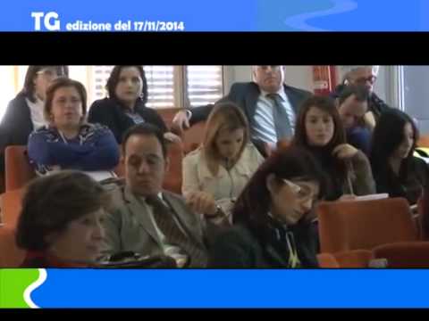 Video: Tg del 17 11 14