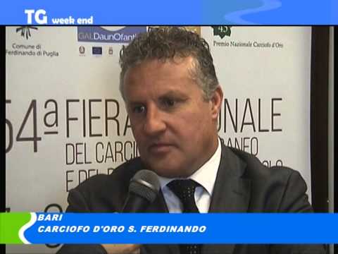 Tg del 01 11 14
