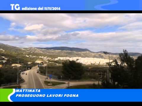 Tg del 11 11 14