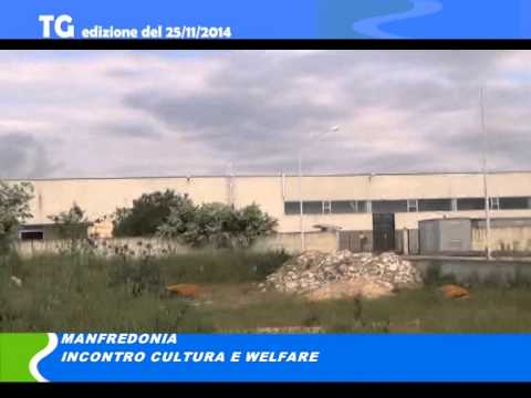 TG del 25/11/2014