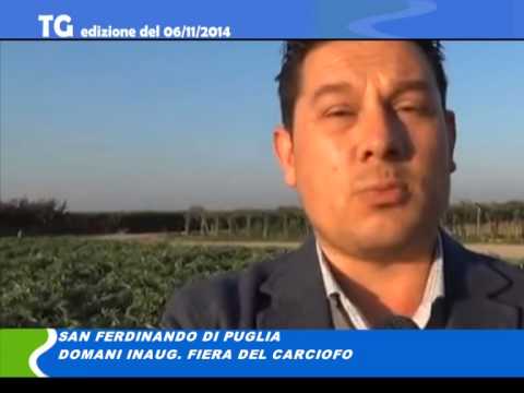 Tg del 06 11 14