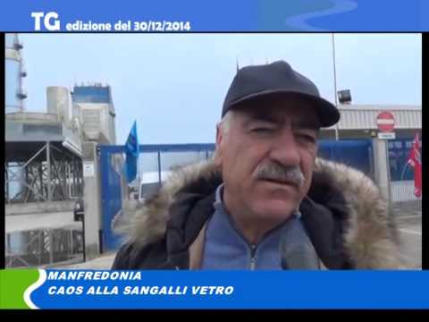 Video: Tg del 30/12/2014