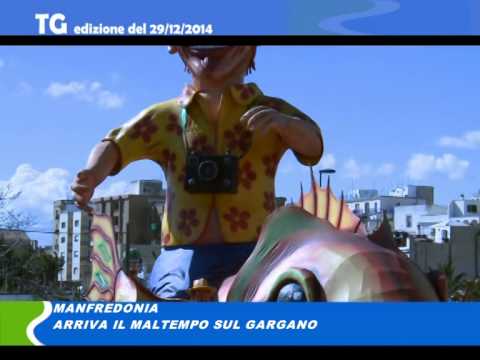 TG del 29 12 14