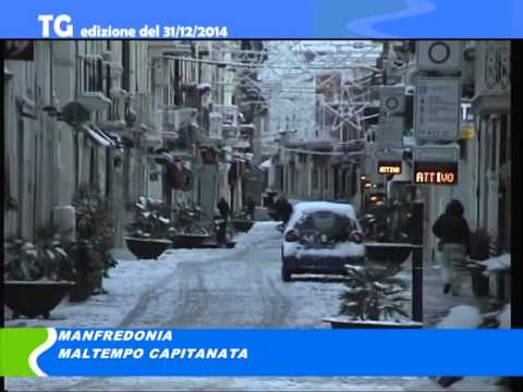 video:TG del 31 12 14