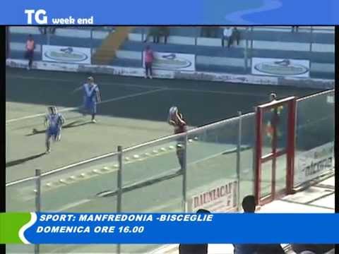 TG del 24 01 15