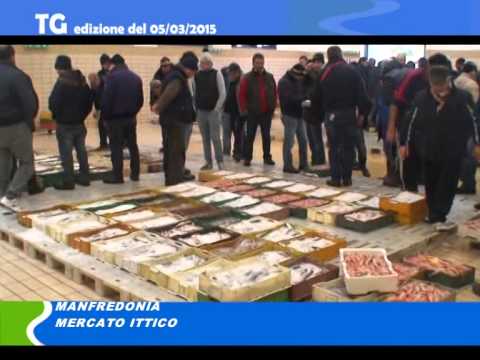 TG del 05 03 15