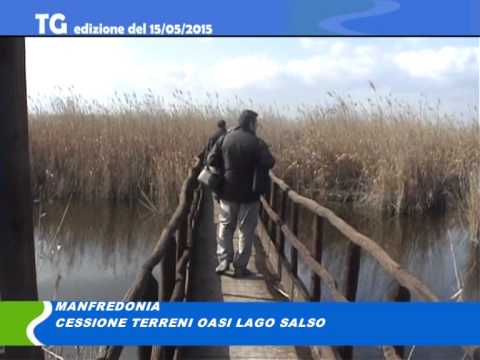 Tg del 15/05/2015