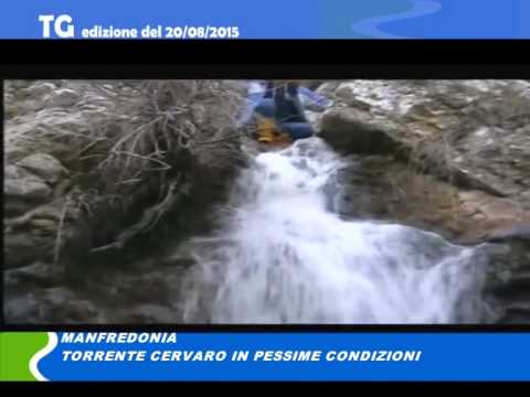 TG del 20 08 15