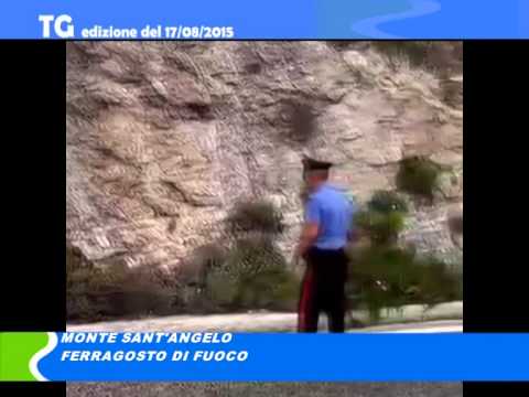 TG del 17 08 15 TG del 17 08 15