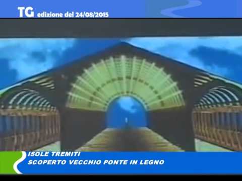 TG del 24 08 15