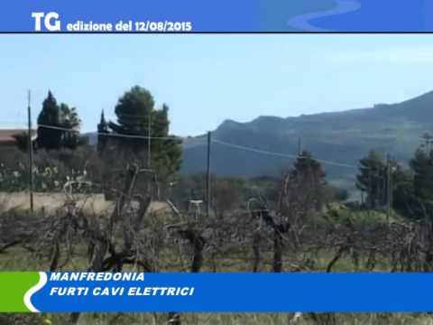 TG del 12 08 15 TG del 12 08 15