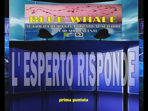 L' Esperto Risponde del 22 05 2017(Blue While)prima puntata