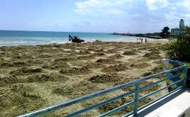 Spiaggiamento vegetali marini, intervento della ECO-Logica Spiaggiamento vegetali marini, intervento della ECO-Logica