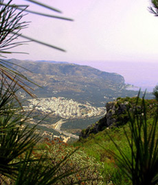 Presi bulli e baby rapinatori  a Mattinata