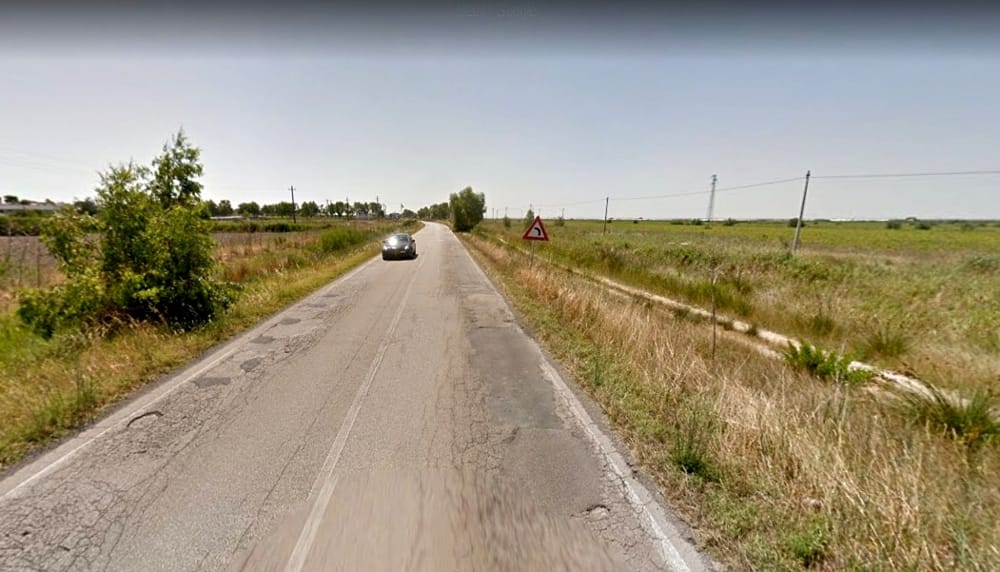 Animali investiti sulla Manfredonia-Zapponeta, sos del Centro Studi