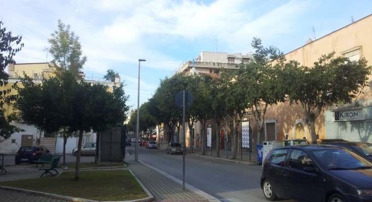 “MANFREDONIA E GLI ALBERI”