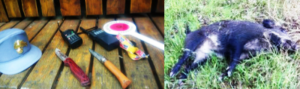 Antibracconaggio in Foresta Umbra: 2 denunce