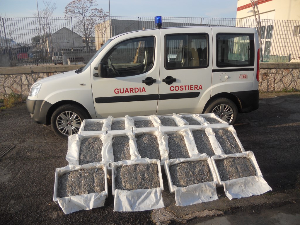 Nuovi sequestri di novellame da parte della Guardia Costiera di Manfredonia