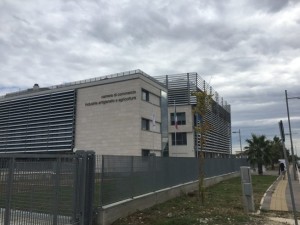 Camera di Commercio Foggia, si vota. Emiliano nomina tutti i consiglieri: i nomi