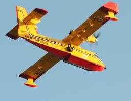 Incendio sul Gargano, Anas chiude viabilità SS89