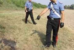 Capitanata, furti nelle campagne: l'appello degli agricoltori