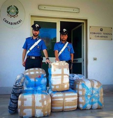 Scoperti 150 chili di marijuana in un casolare