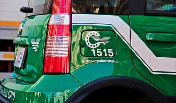 Gestione illecita di rifiuti speciali sul Gargano: 62 soggetti deferiti Gestione illecita di rifiuti speciali sul Gargano: 62 soggetti deferiti