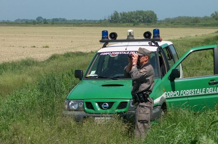 Gargano, ruba legna all’interno del Parco, arrestato