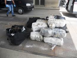 Rinvenuti altri 36 kg di marijuana a “Sciale Delle Rondinelle”