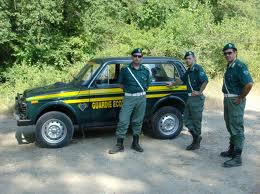 Operazioni del corpo forestale Operazioni del corpo forestale