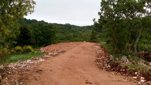 Mafia Garganica: studio dell'UniFg a New Orleans