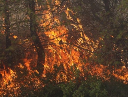 Arriva la stagione calda arrivano gli incendi