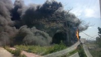Incendiati terreni Amadori a Zapponeta