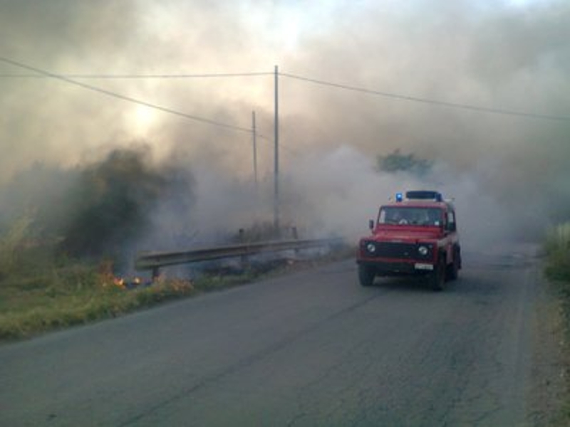 Zapponeta: incendio nei pressi del villaggio turistico “Foggia Mare”