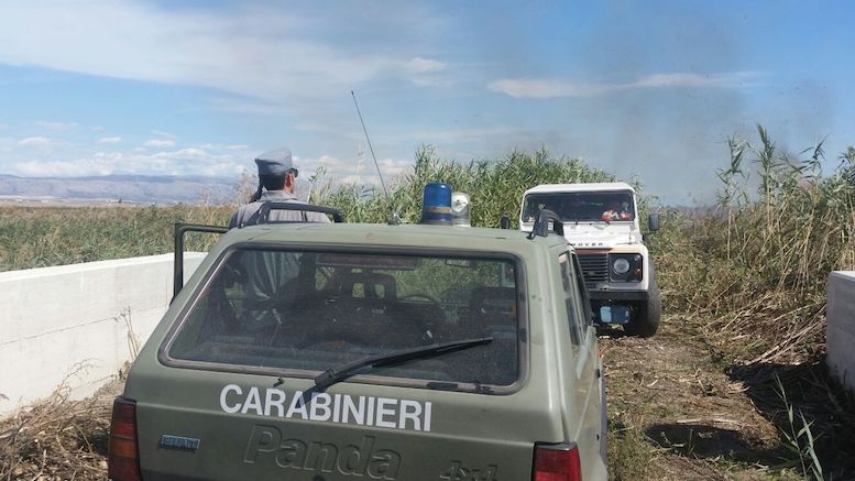 Oasi Lago Salso, 100 ettari in fumo. “Altra squallida manifestazione d’ignoranza”