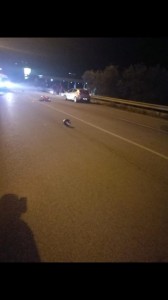 Drammatico incidente stradale, morto 16enne su strada a Mattinata