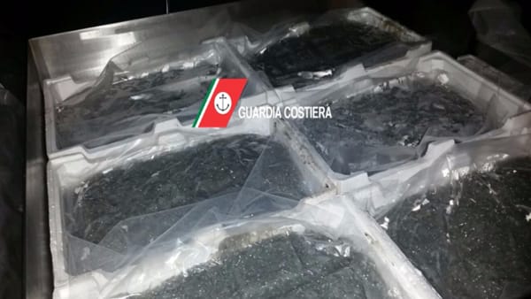 Commercio illegale di bianchetto: scoperto deposito a Manfredonia