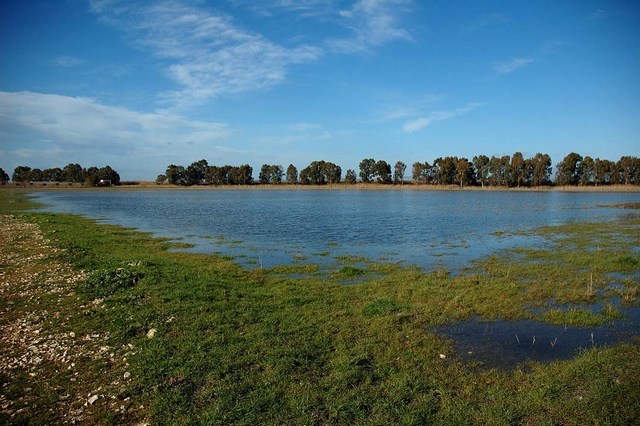 Manfredonia, “L’Oasi lago Salso riapre”