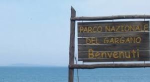 RIFIUTI SPECIALI ABBANDONATI AI CONFINI DEL PARCO NAZIONALE DEL GARGANO