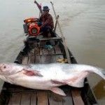 Sviluppi Crisi Pesca