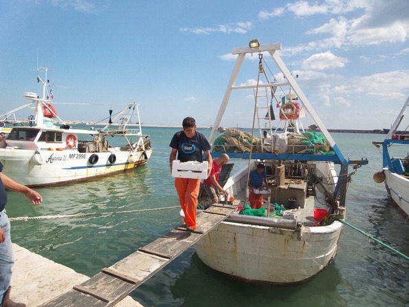 Blitz pre-natalizio, sequestrati 150 chili di prodotto ittico sul Gargano