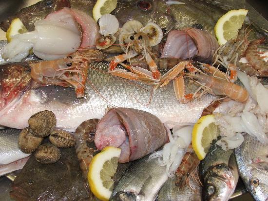 è iniziato il fermo biologico è iniziato il fermo biologico